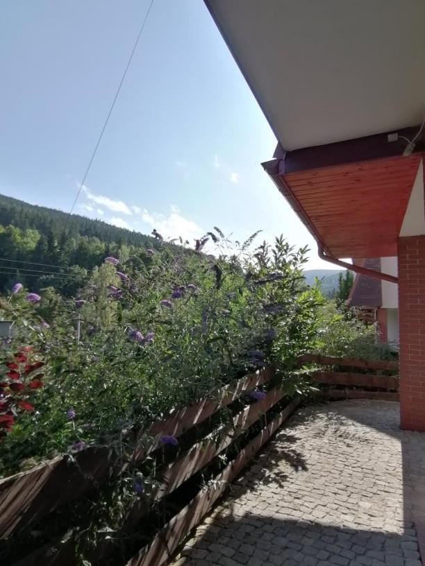 Apartament BOHO DOM Stronie Śląskie Kletno Zewnętrze zdjęcie